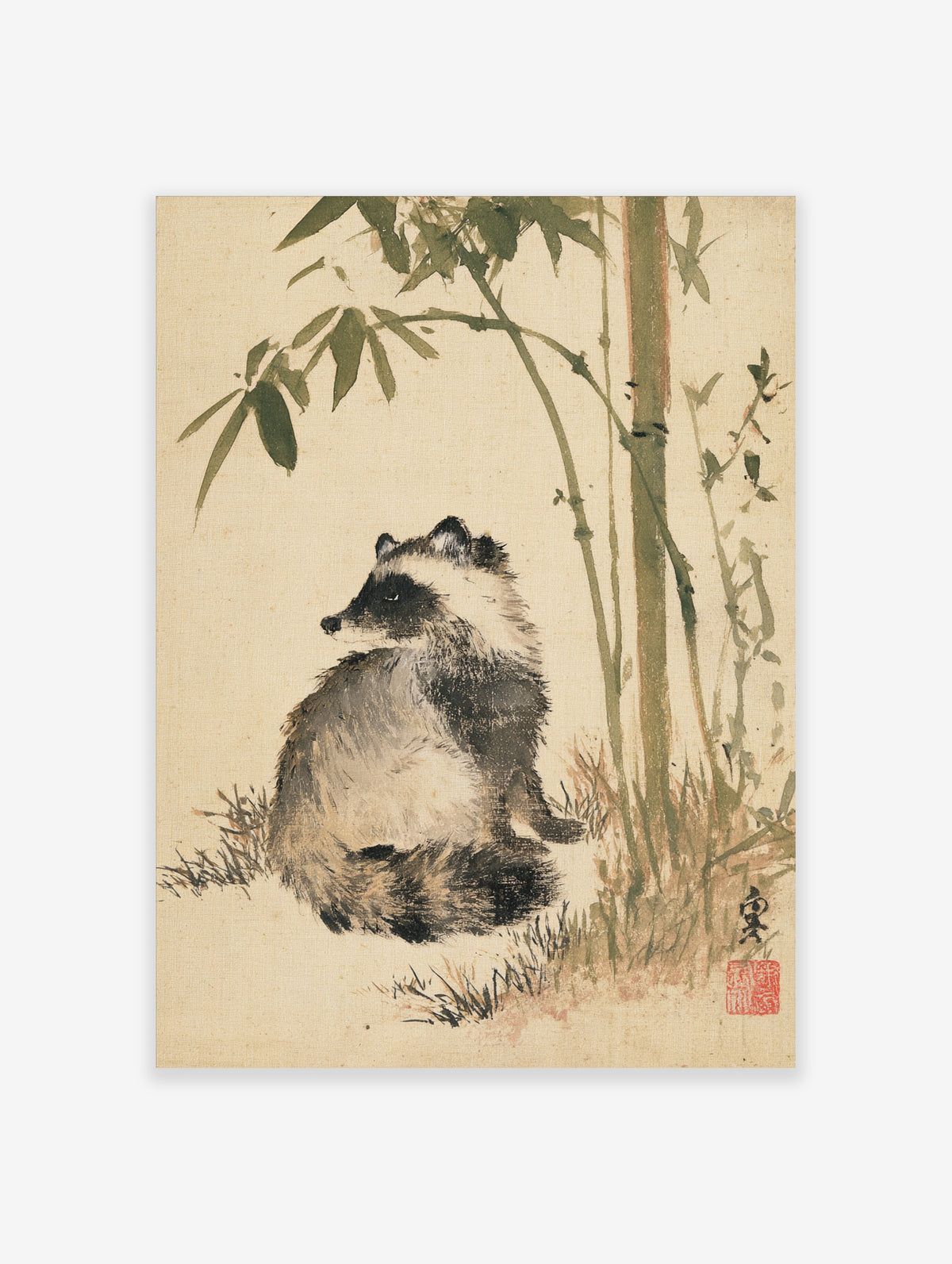 Raccoon and bamboo Japanese ink art print with grey fur, green stalks, and red seal