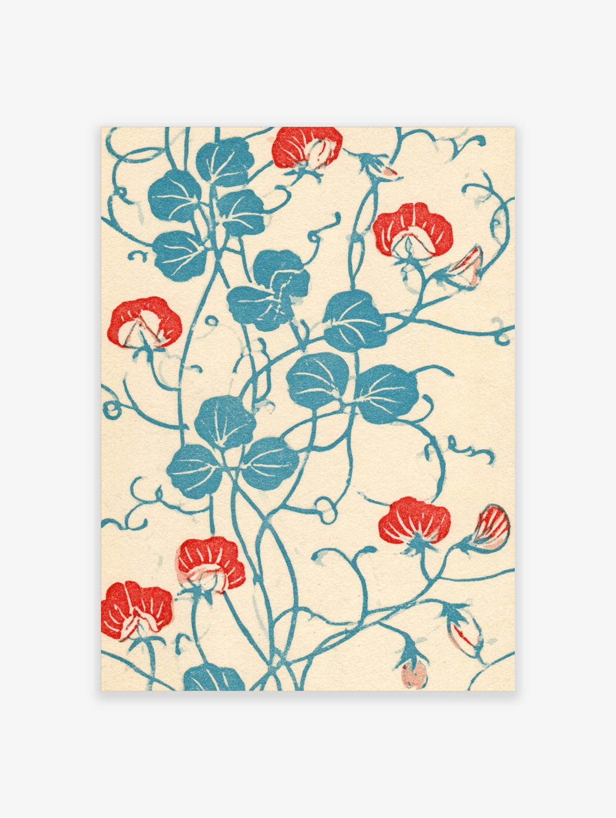 Red and blue morning glory botanical art print with trailing vines on cream background