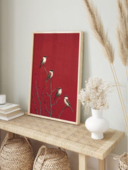 Four red-backed shrike birds on bare branches with red berries against a striking red, in an alternate framed mockup