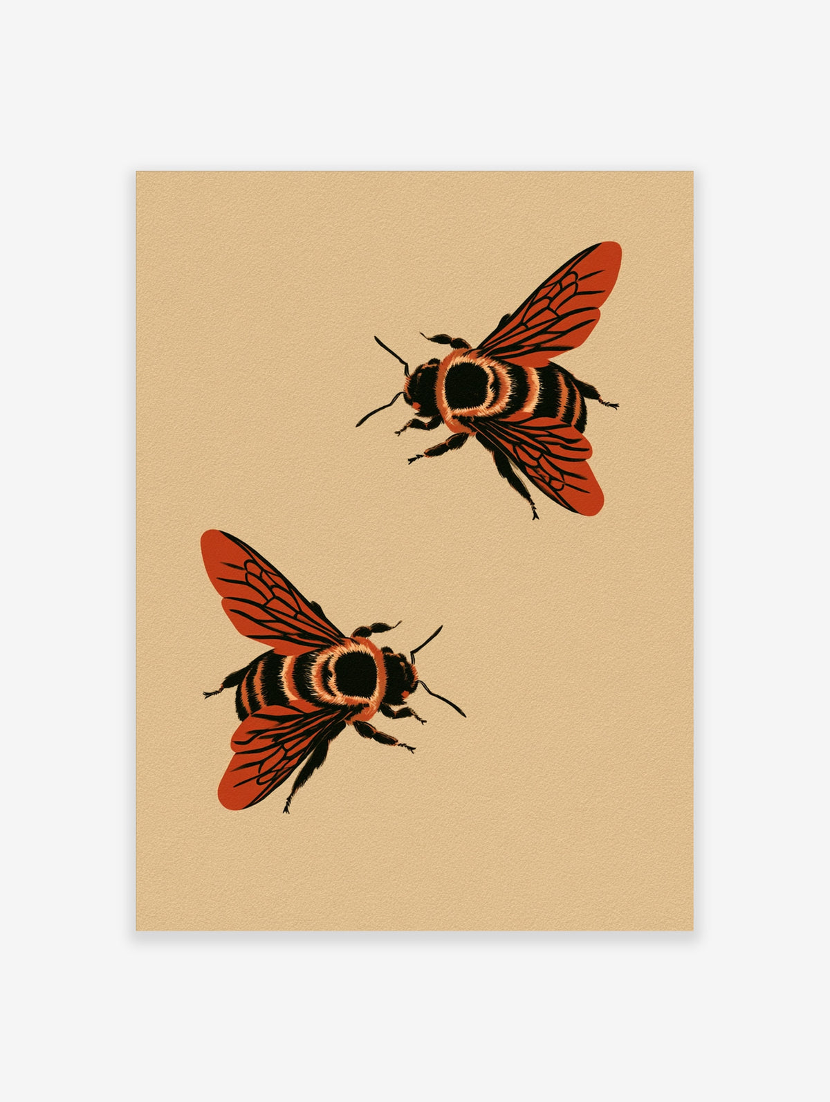 Red and black bumble bee illustration art print with two bees on a tan background