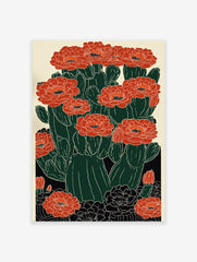 Red cactus flower poster, a modern botanical illustration featuring dark green cacti with vibrant red blossoms and black details.