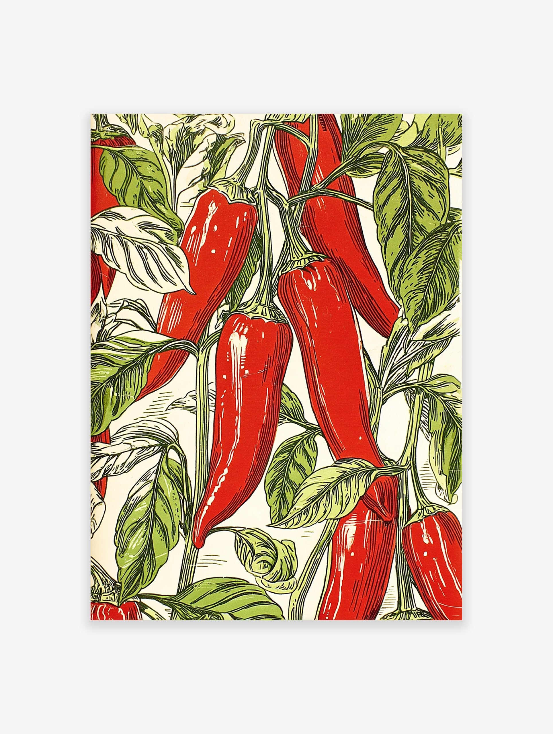 Red chili pepper botanical illustration poster with green leaves on a light background, arranged in a vibrant pattern.