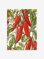 Red chili pepper botanical illustration poster with green leaves on a light background, arranged in a vibrant pattern.