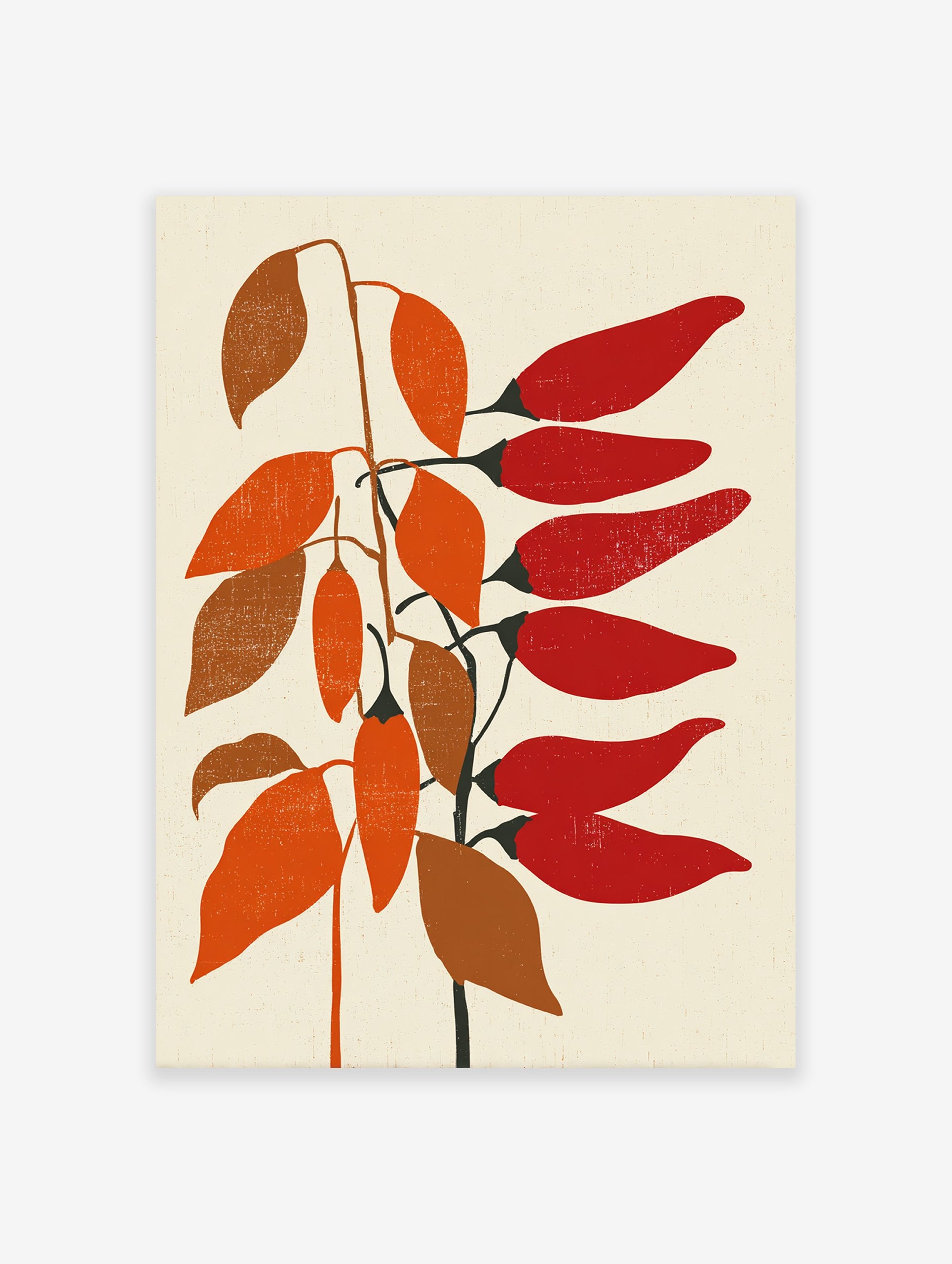 Red chili pepper plant botanical illustration poster with orange and brown leaves on a cream background.