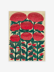Red Waratah-style flower botanical illustration wall art print with green leaves on a textured beige background.
