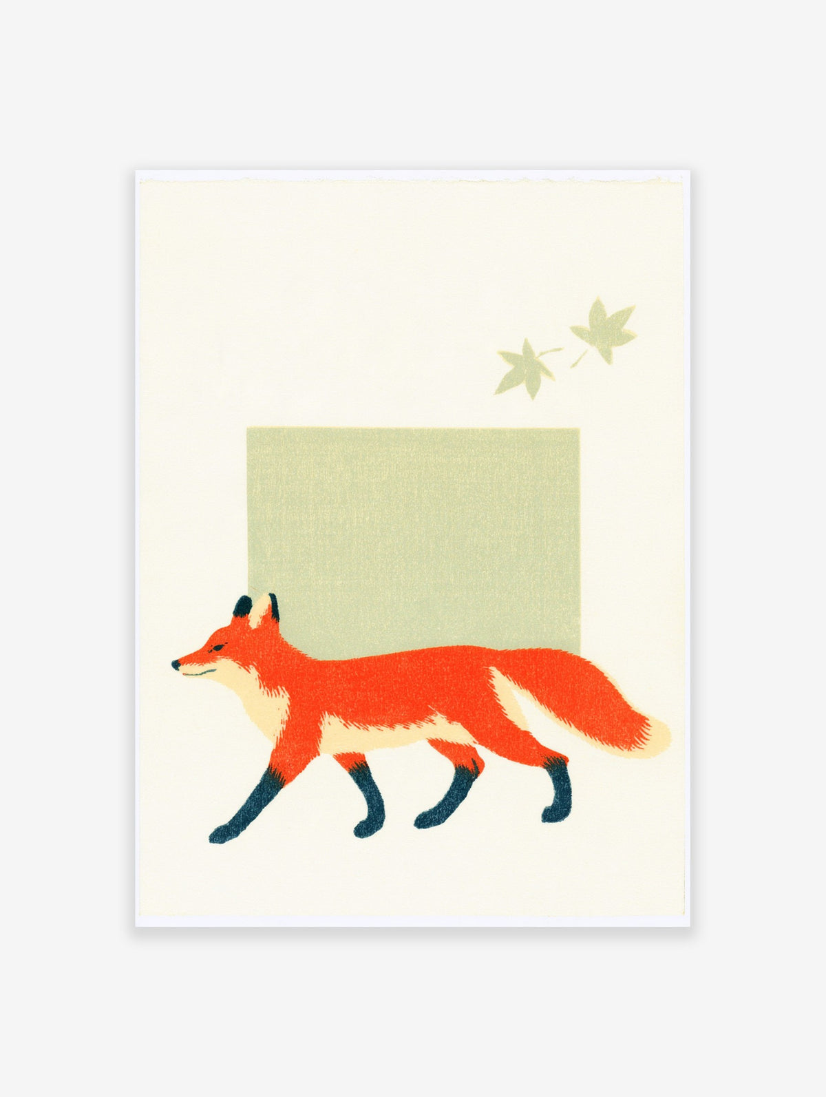 Red fox illustration with two sage leaves and a green block on a white background, red fox art print