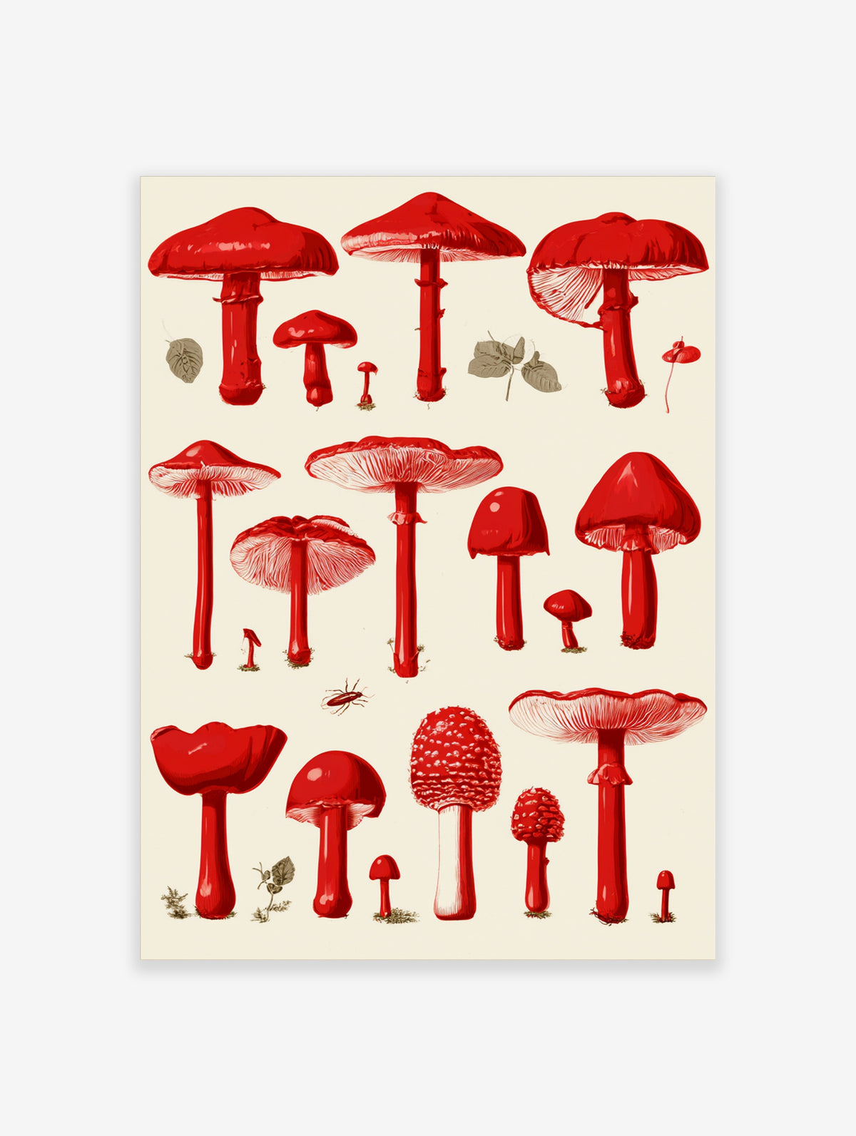 Red mushroom illustration art print with varied fungi shapes and detailed gills on cream background