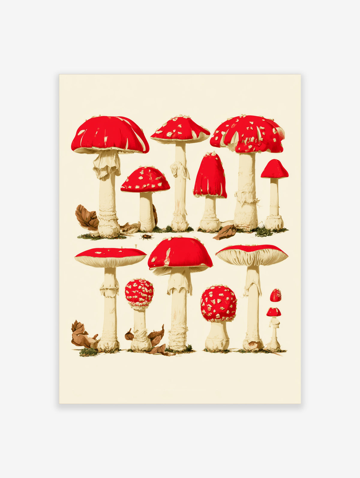 Red mushrooms with white spots and cream stems, botanical illustration on cream background
