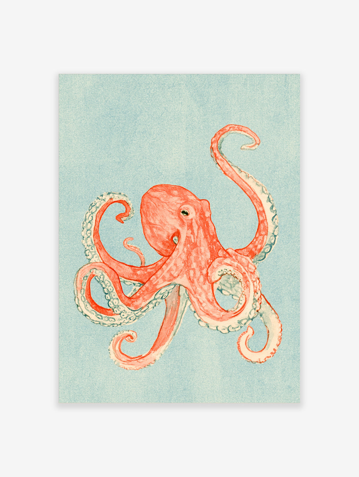 Coral-pink octopus watercolour art print with curling tentacles on pale blue-green background