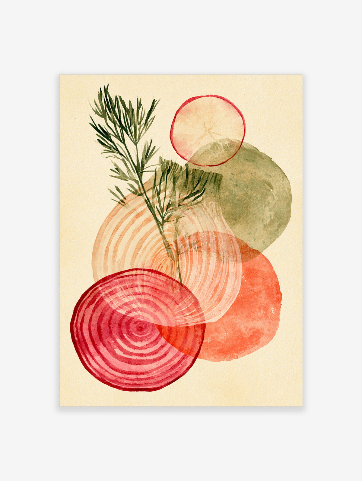 Watercolour red onion slice, pale onion rings and dill sprigs on a cream background