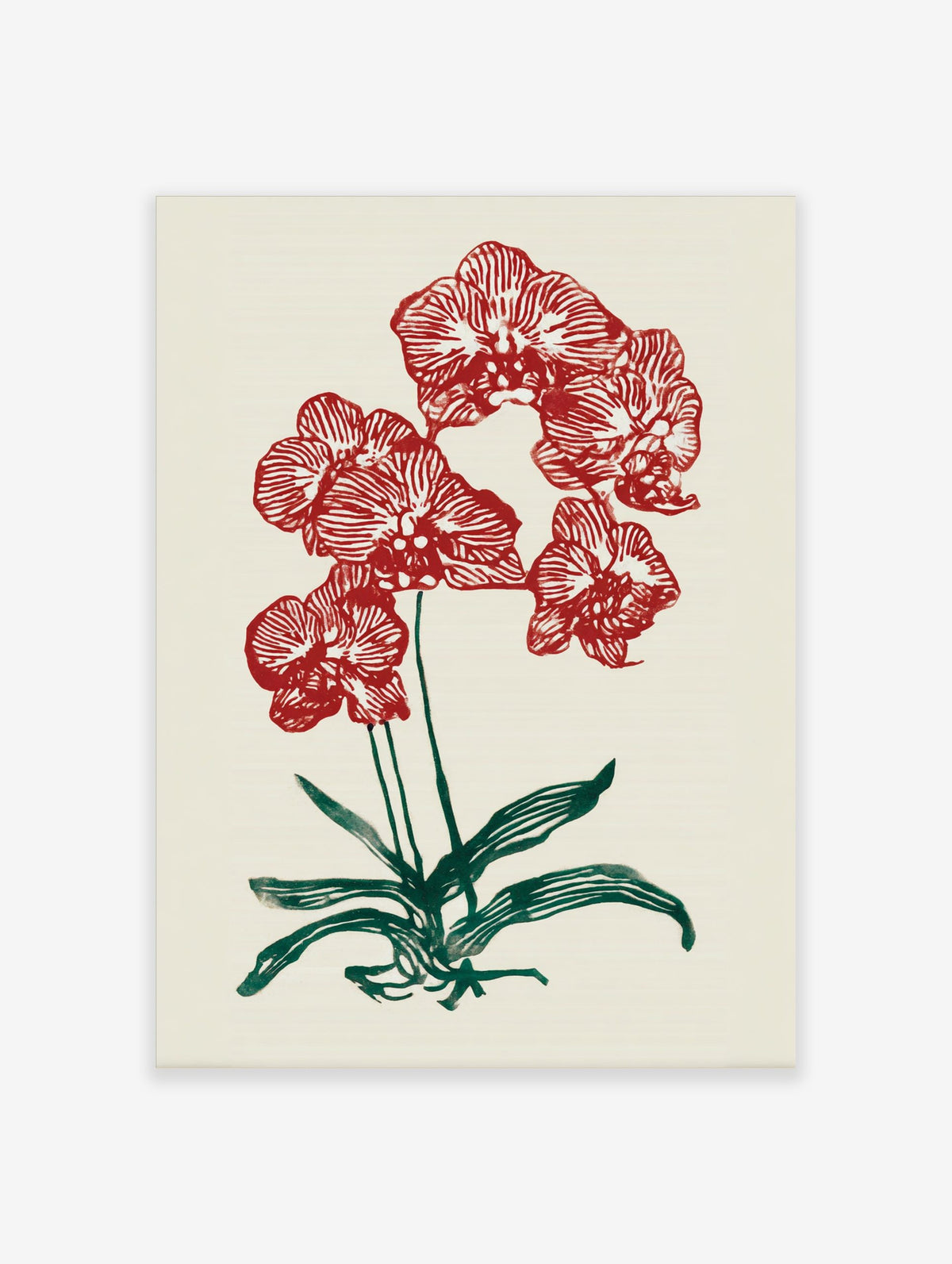 Red orchid botanical illustration wall art print with green leaves on a cream background