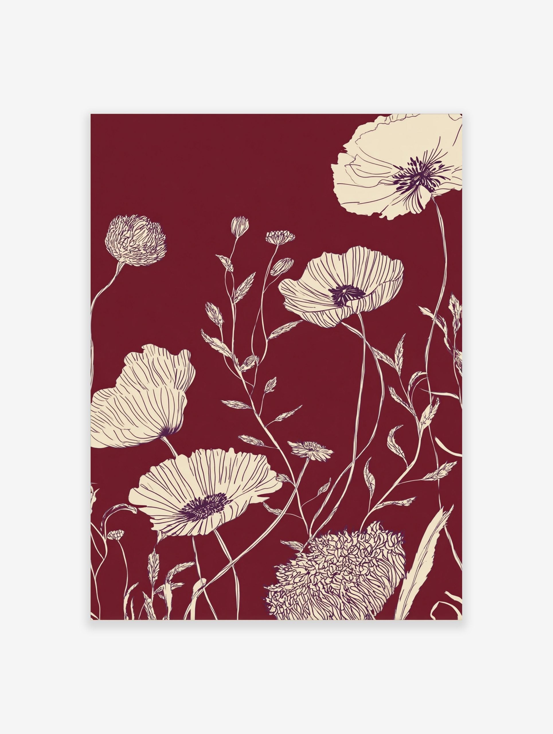 Cream line art poppy flowers and foliage on a deep maroon background in a botanical illustration print
