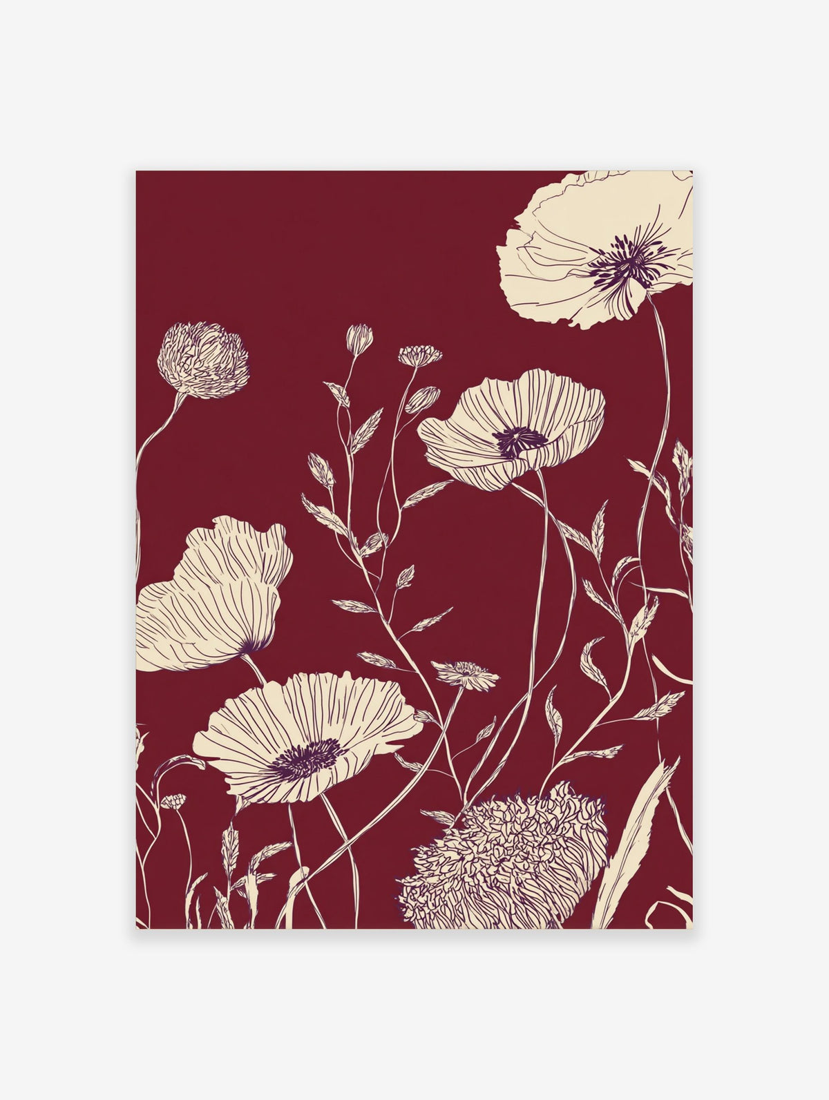 Cream line art poppy flowers and foliage on a deep maroon background in a botanical illustration print