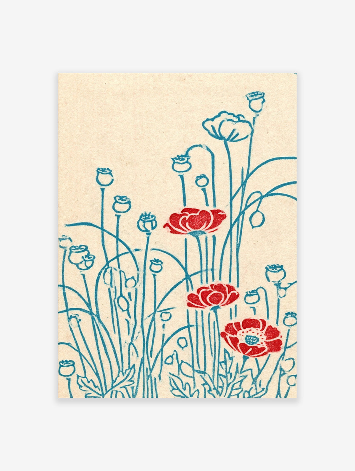 Red poppy flower poster with blue line art stems and buds on beige background, botanical wall art print