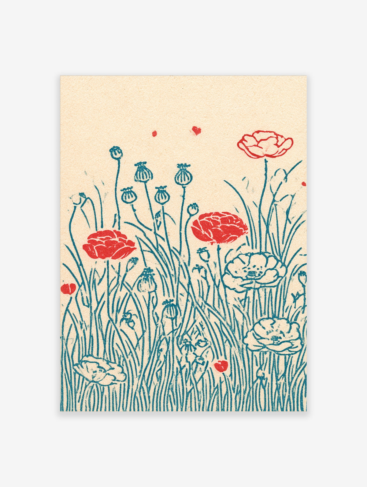 Red poppy flower poster with teal line-drawn stems, seed pods, and grass on cream background