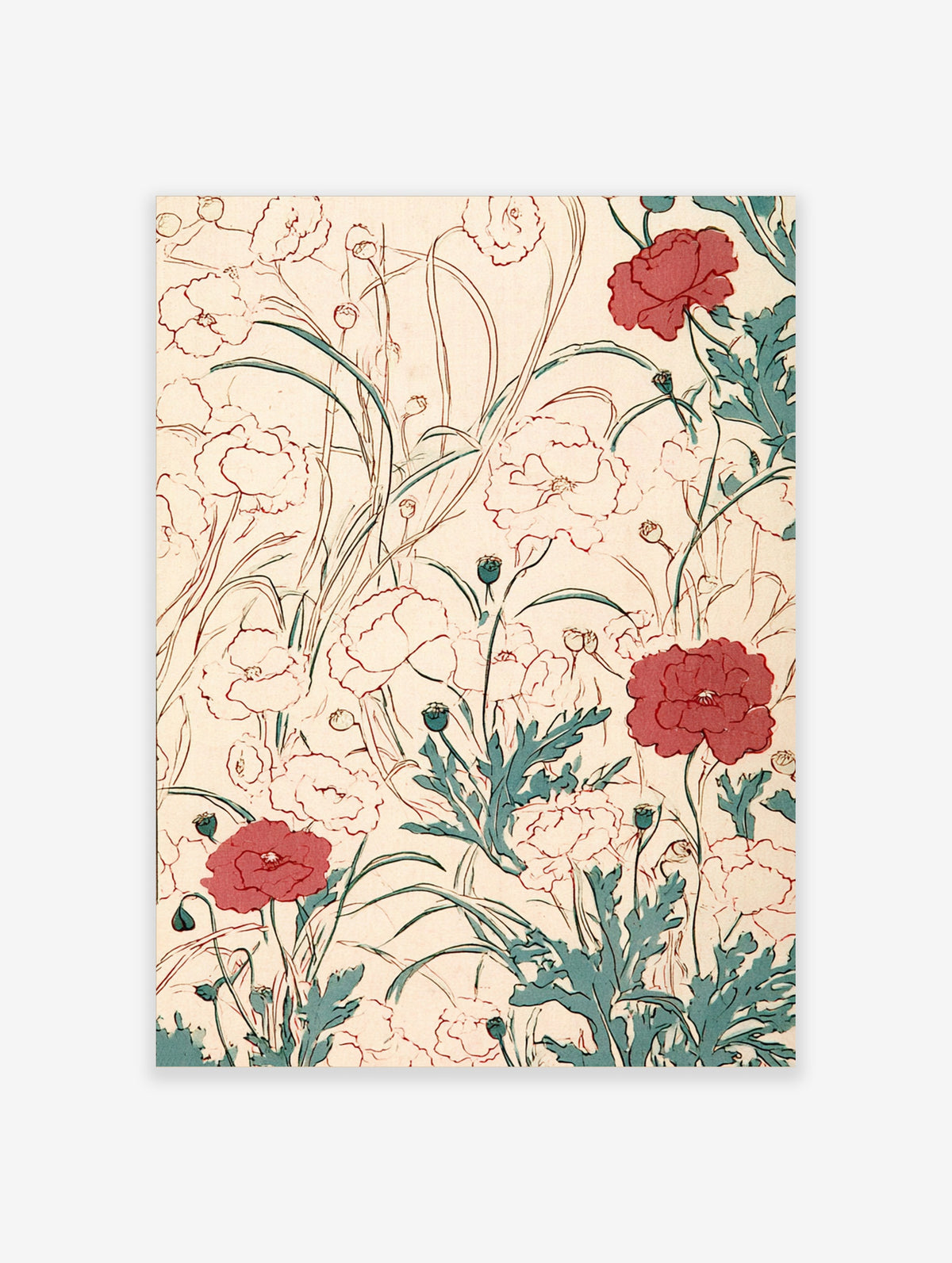 Red poppy flower botanical illustration art print with white blooms and teal leaves