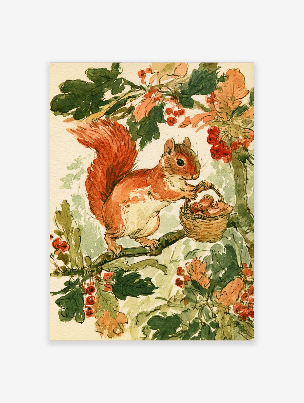 Red squirrel holding a berry basket on a branch with oak leaves, watercolour animal art print