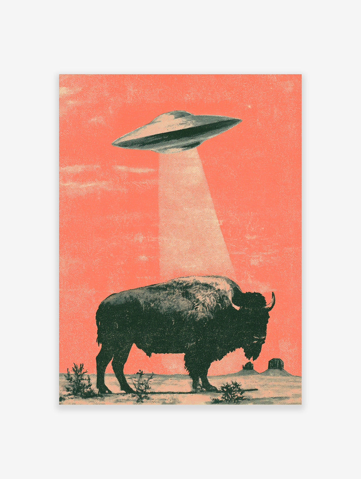 Retro UFO bison wall art print with flying saucer beaming light onto a dark bison in a coral desert