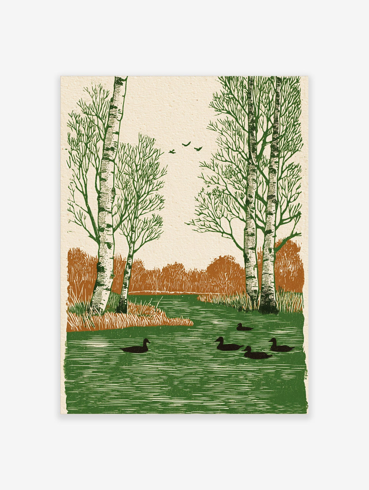 Woodcut style art print of birch trees and ducks swimming in a green river with brown foliage