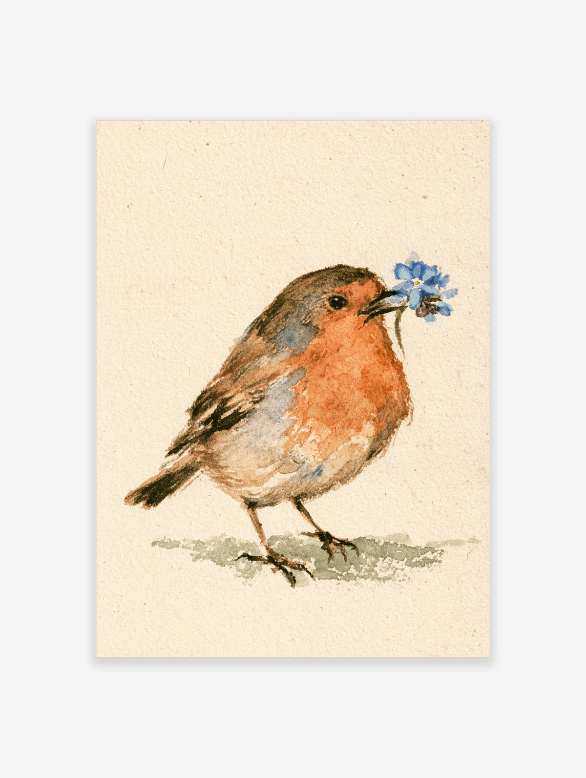 Watercolour robin bird holding a blue flower in its beak, standing on a cream background
