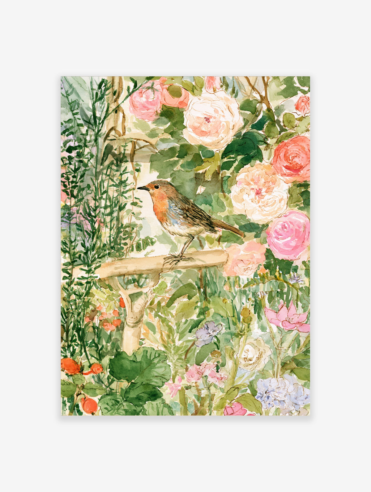 Watercolour robin perched on a branch among pink roses and green foliage art print