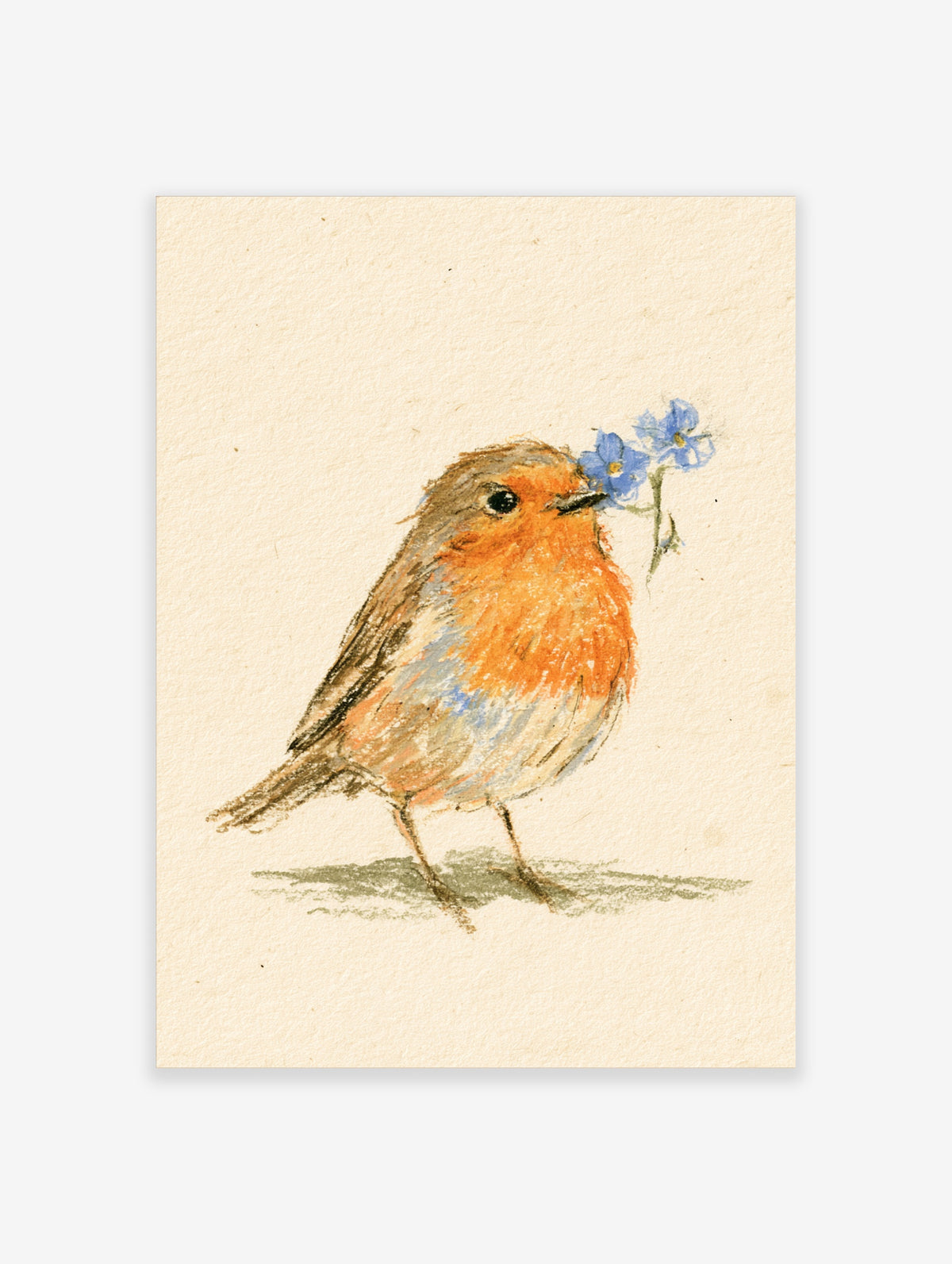 Watercolour robin bird holding blue flowers in its beak, standing on textured cream paper