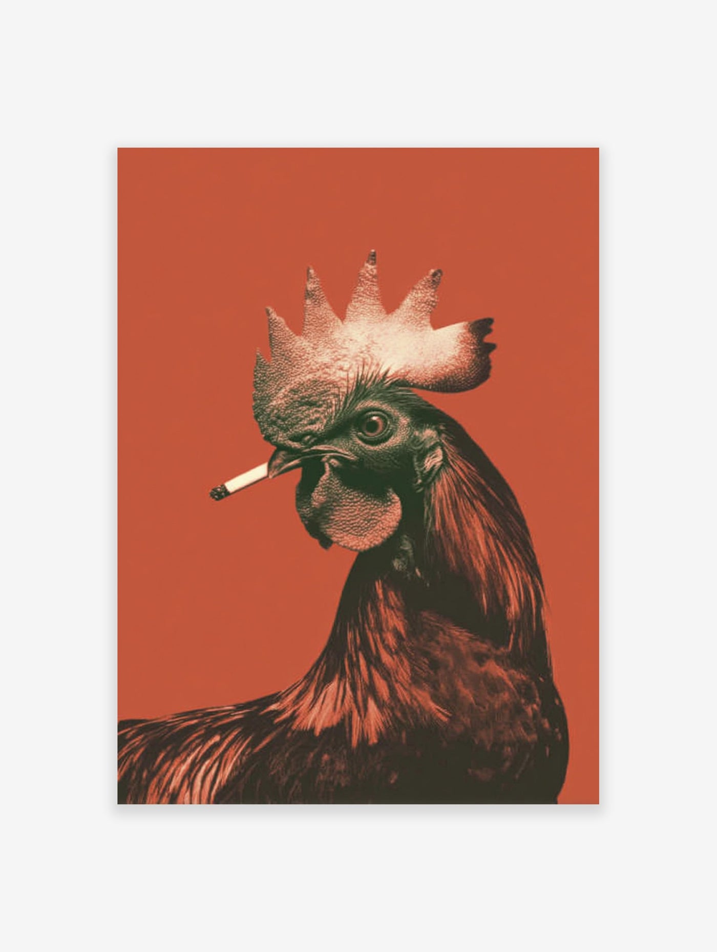 A striking Rooster Smoking Poster, a surreal illustration of a rooster with a cigarette against a vibrant orange background.