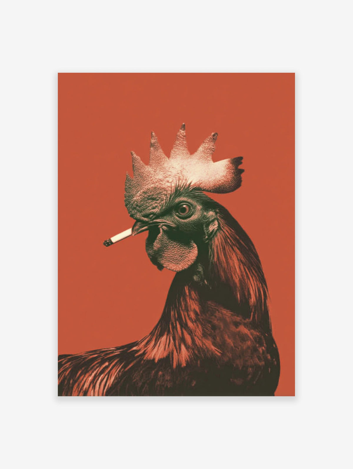 A striking Rooster Smoking Poster, a surreal illustration of a rooster with a cigarette against a vibrant orange background.