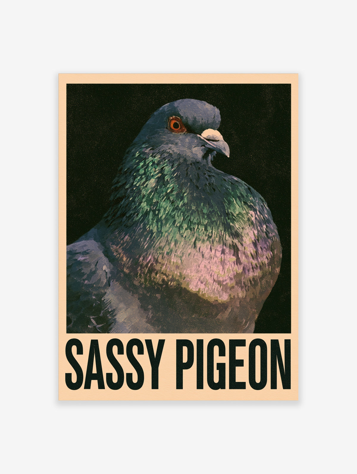 Sassy Pigeon poster with close-up pigeon portrait, green and purple feathers, and bold black text on dark background