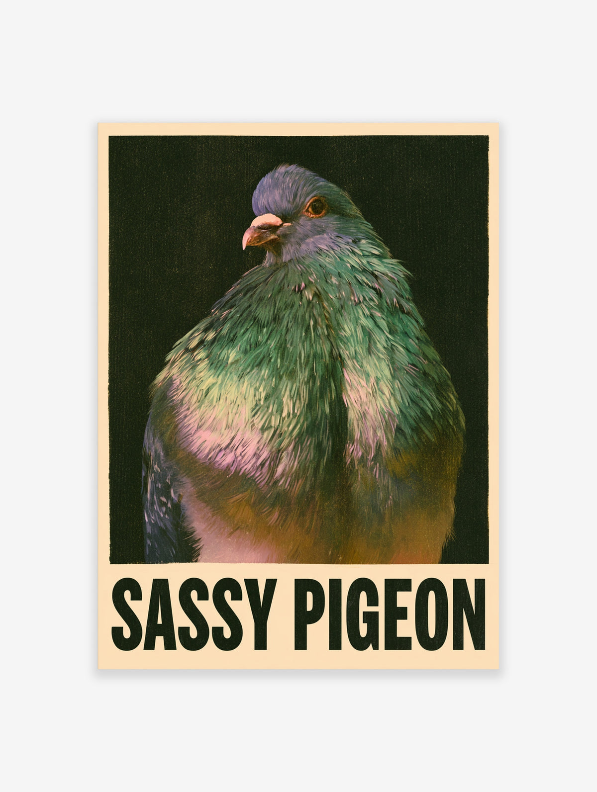 Sassy Pigeon poster with a close-up pigeon in green and pink plumage above bold black text