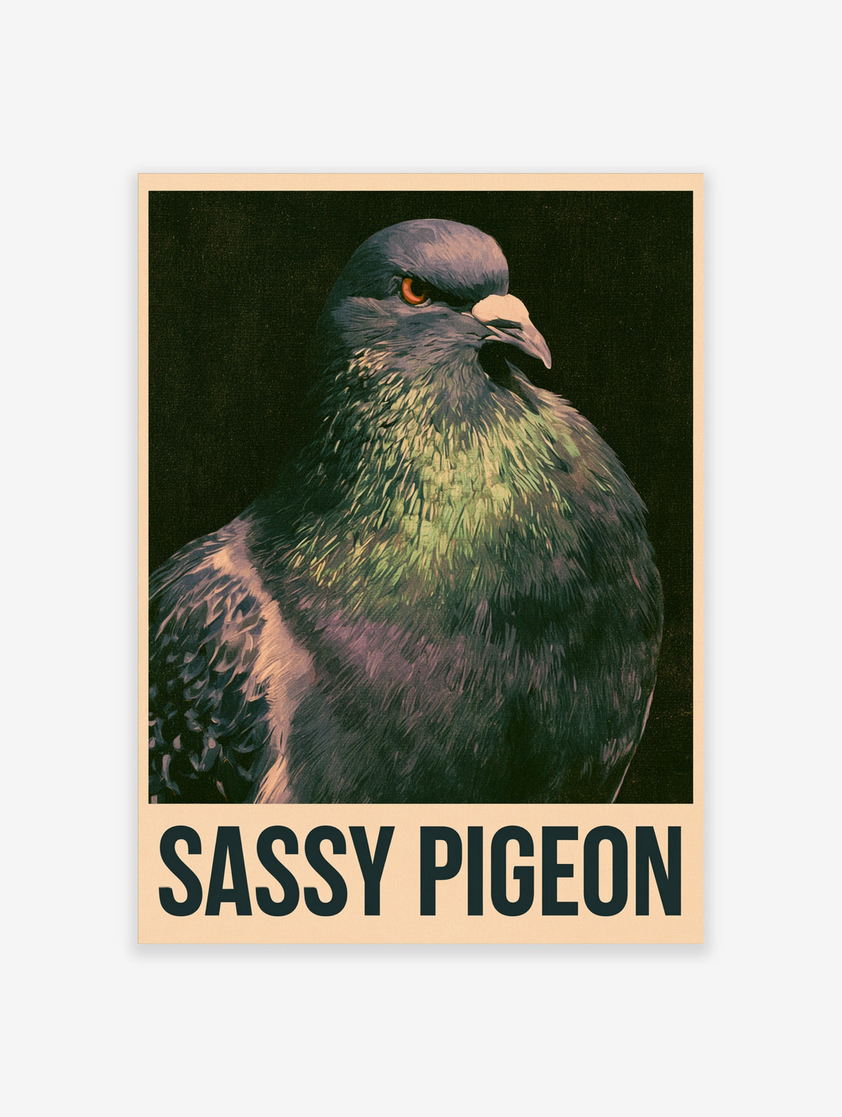 Close-up pigeon with iridescent green neck feathers and orange eye, Sassy Pigeon text below on dark background
