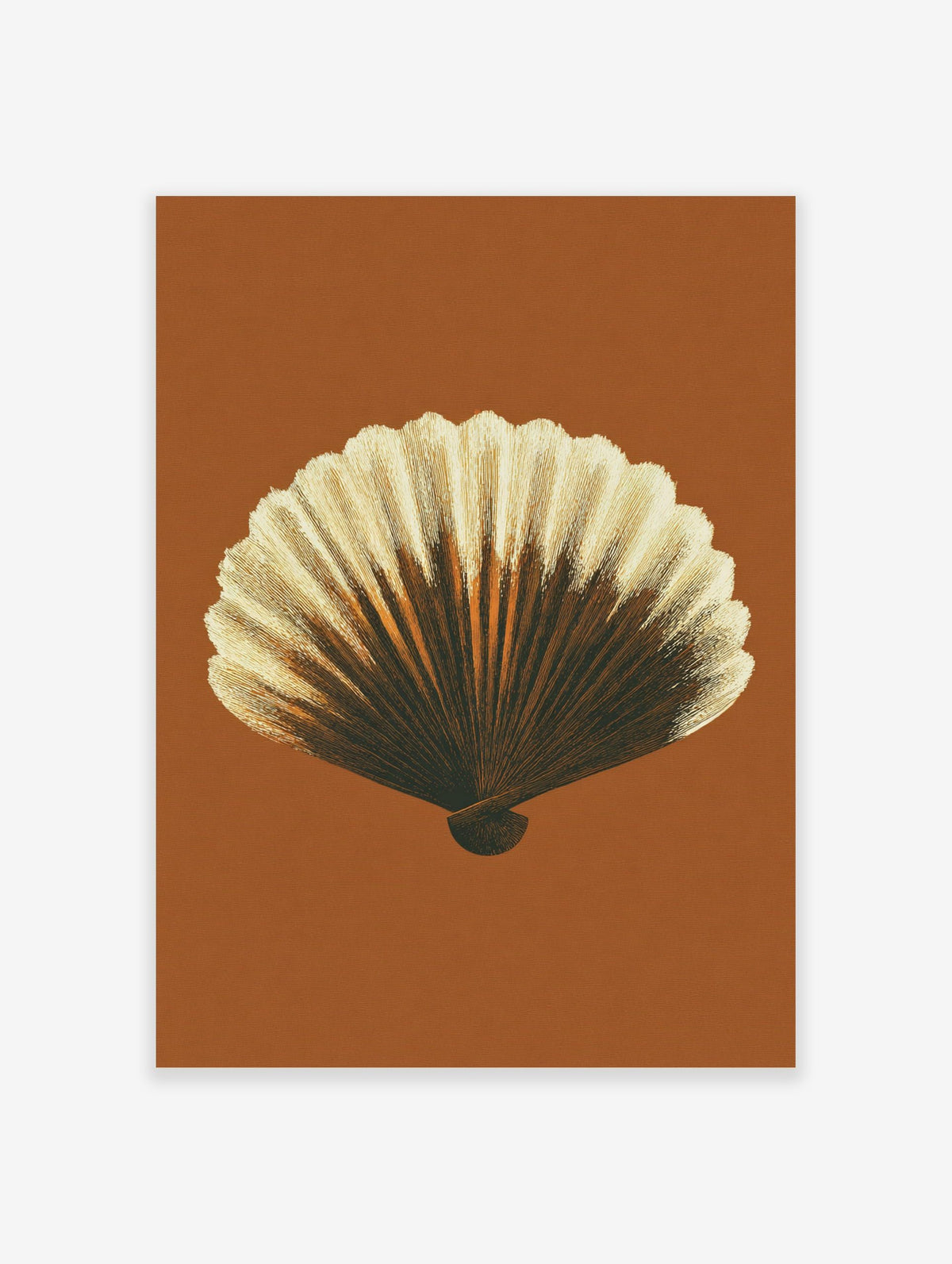 Detailed illustrative print of a scallop shell in brown and cream tones against a rust background