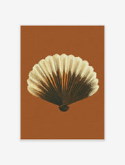 Detailed illustrative print of a scallop shell in brown and cream tones against a rust background