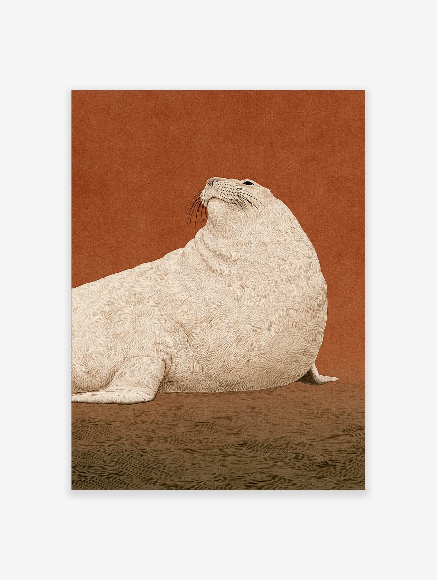 Detailed illustrative seal art print with creamy fur on a textured orange background
