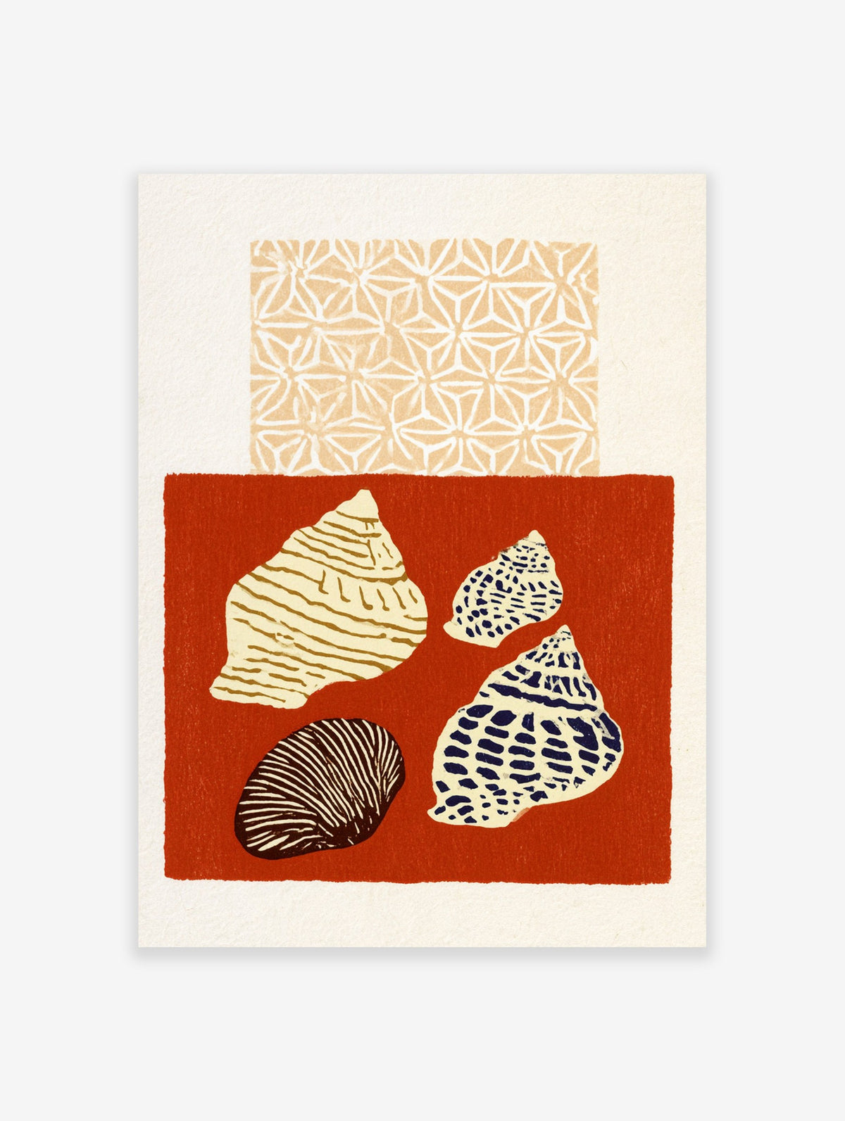 Coastal seashell illustration with geometric patterns on a red background, unframed art print for nature-inspired interiors