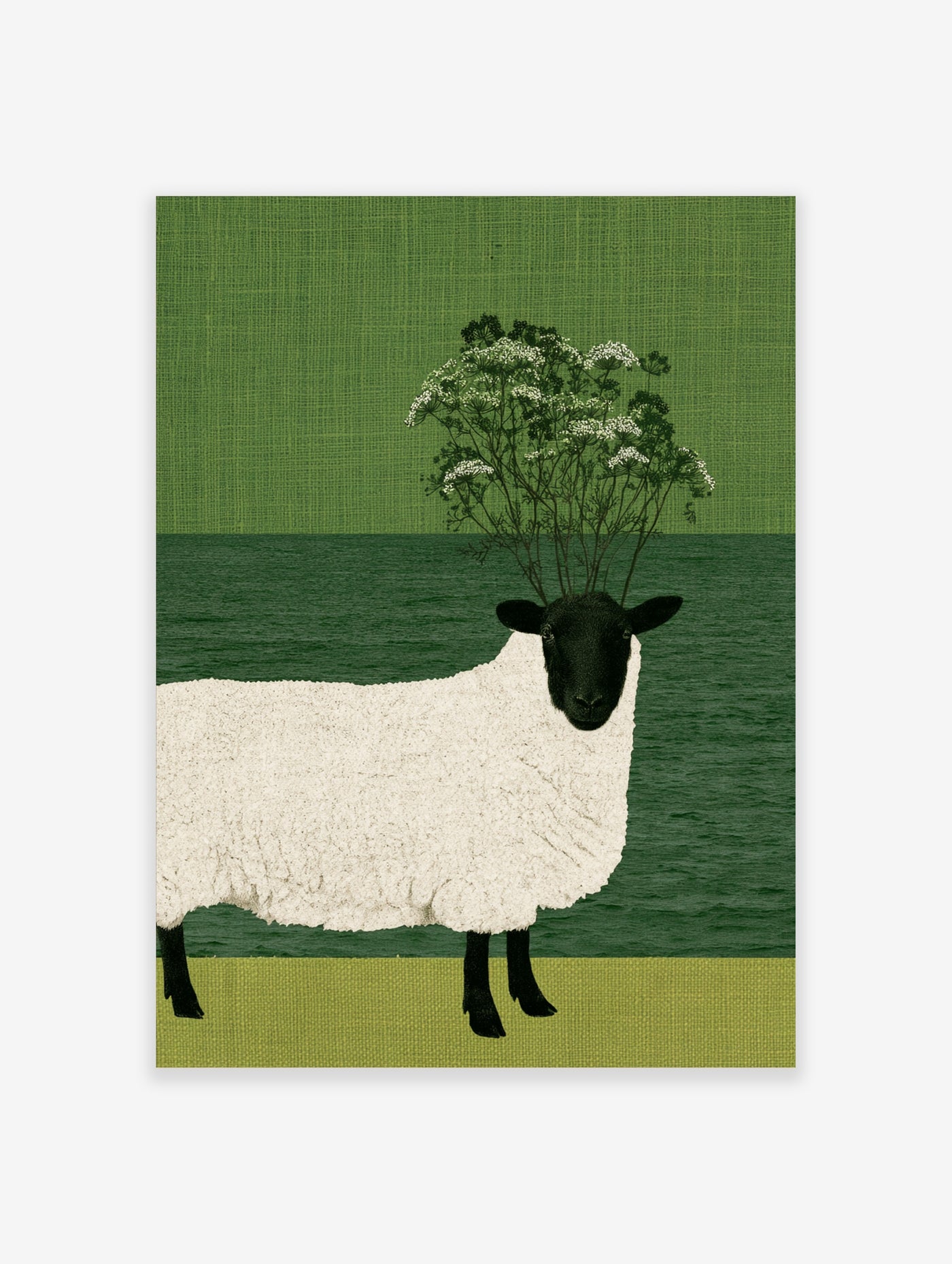 Illustration of a sheep with white wildflowers blooming from its head against a textured green background