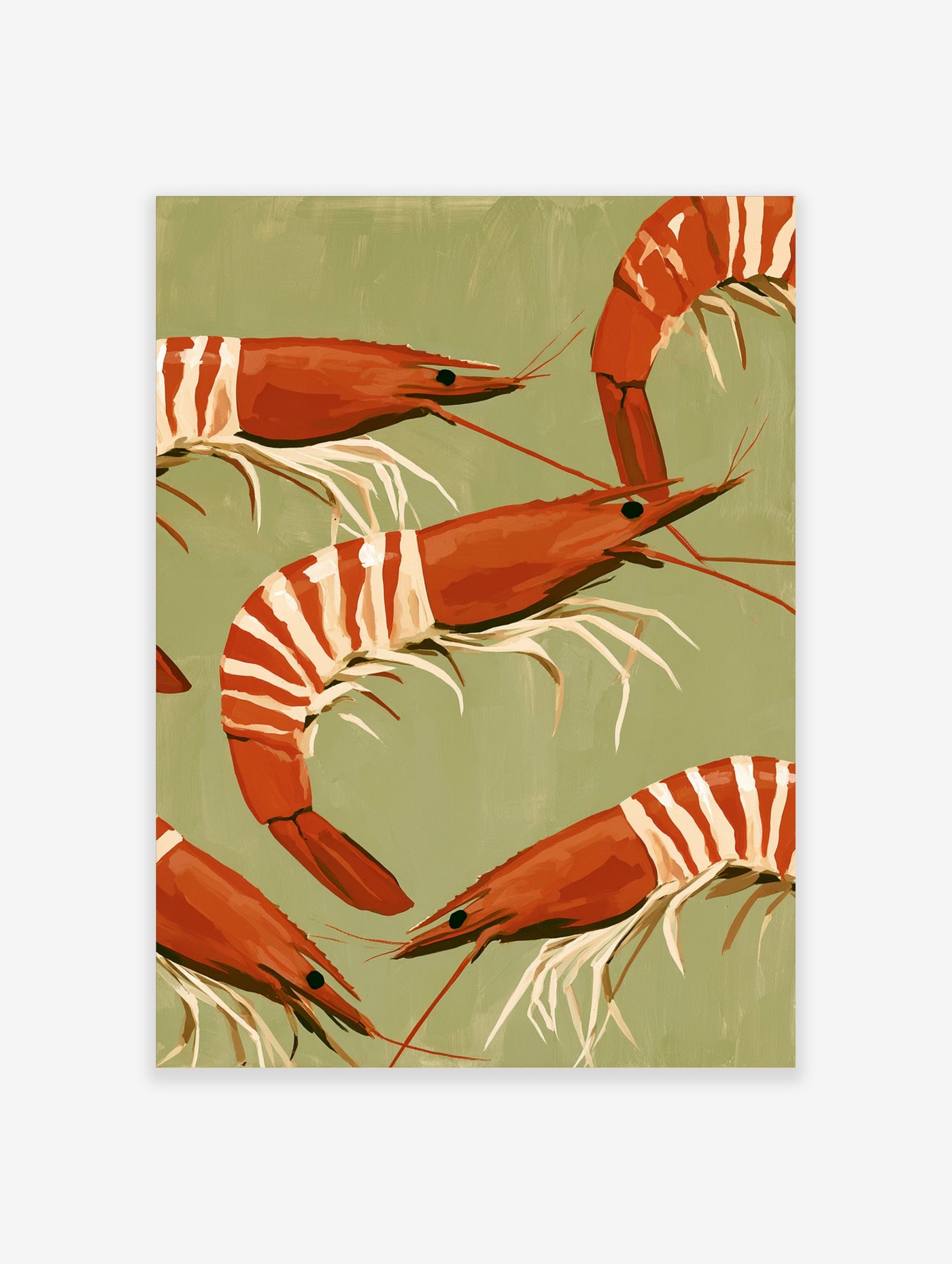 Shrimp illustration wall art print with orange and white striped prawns on a sage green background