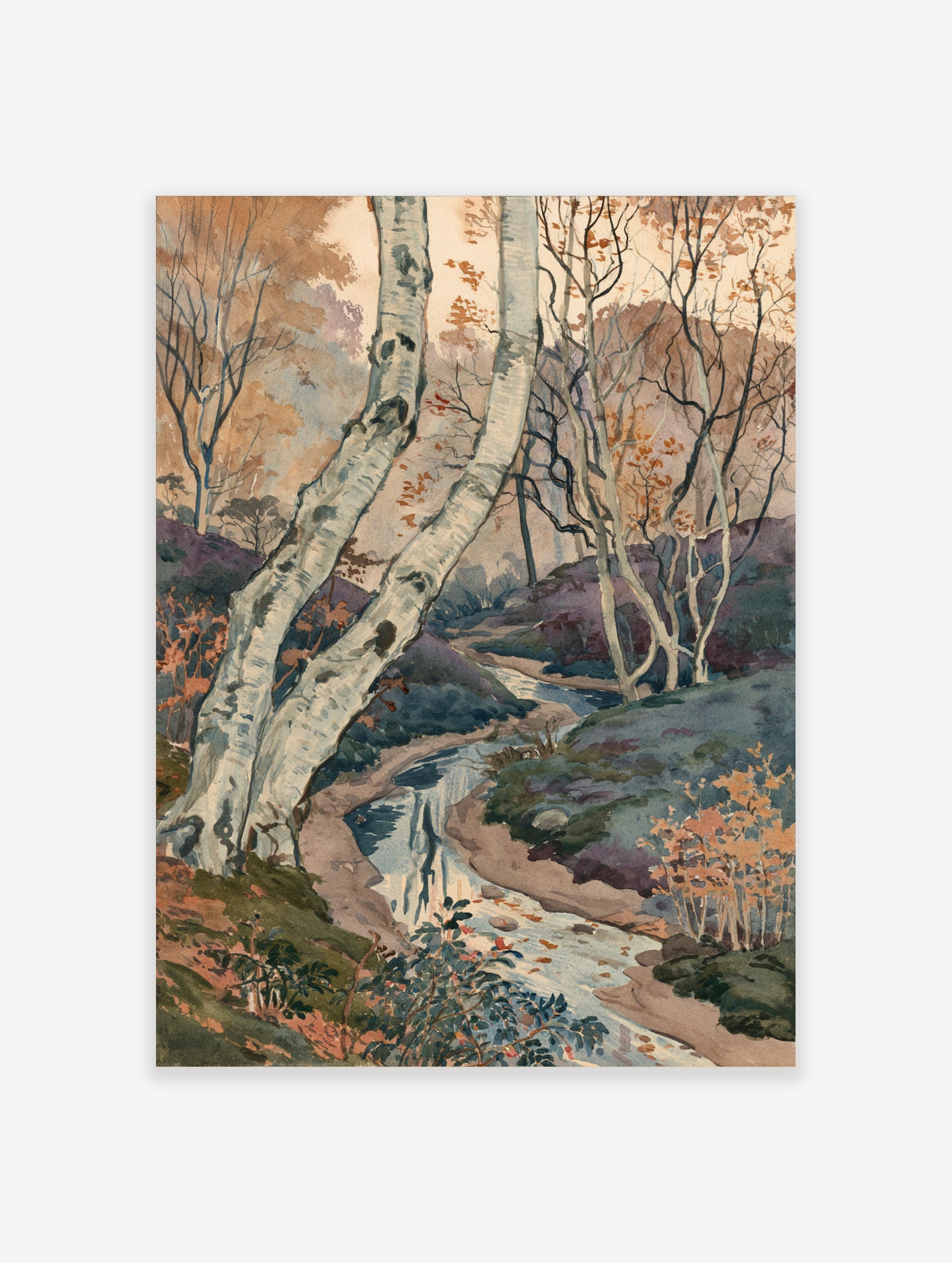 Watercolour painting of silver birch trees and a winding stream in an autumn forest landscape