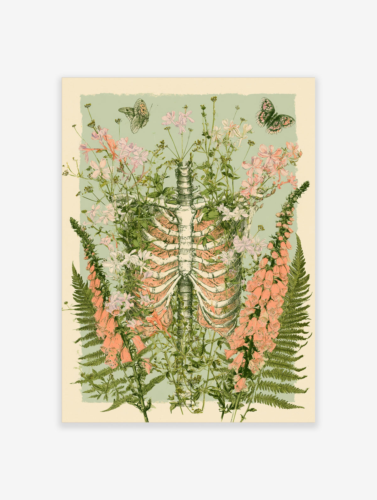 Skeleton ribcage anatomy poster with pink flowers, ferns, and butterflies on sage green background