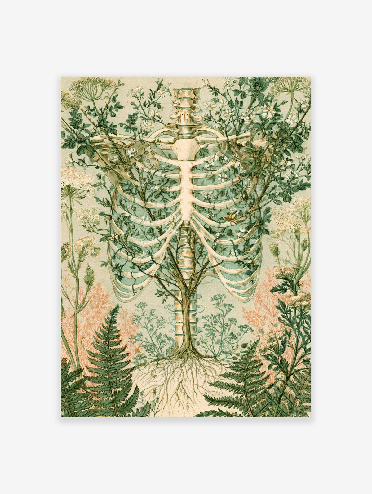 Surreal skeleton ribcage entwined with green vines and white flowers botanical illustration print