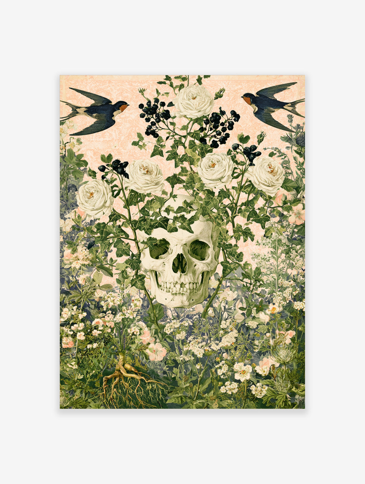 Botanical skull poster with white roses, ivy, black berries, and two swallows on pale pink background