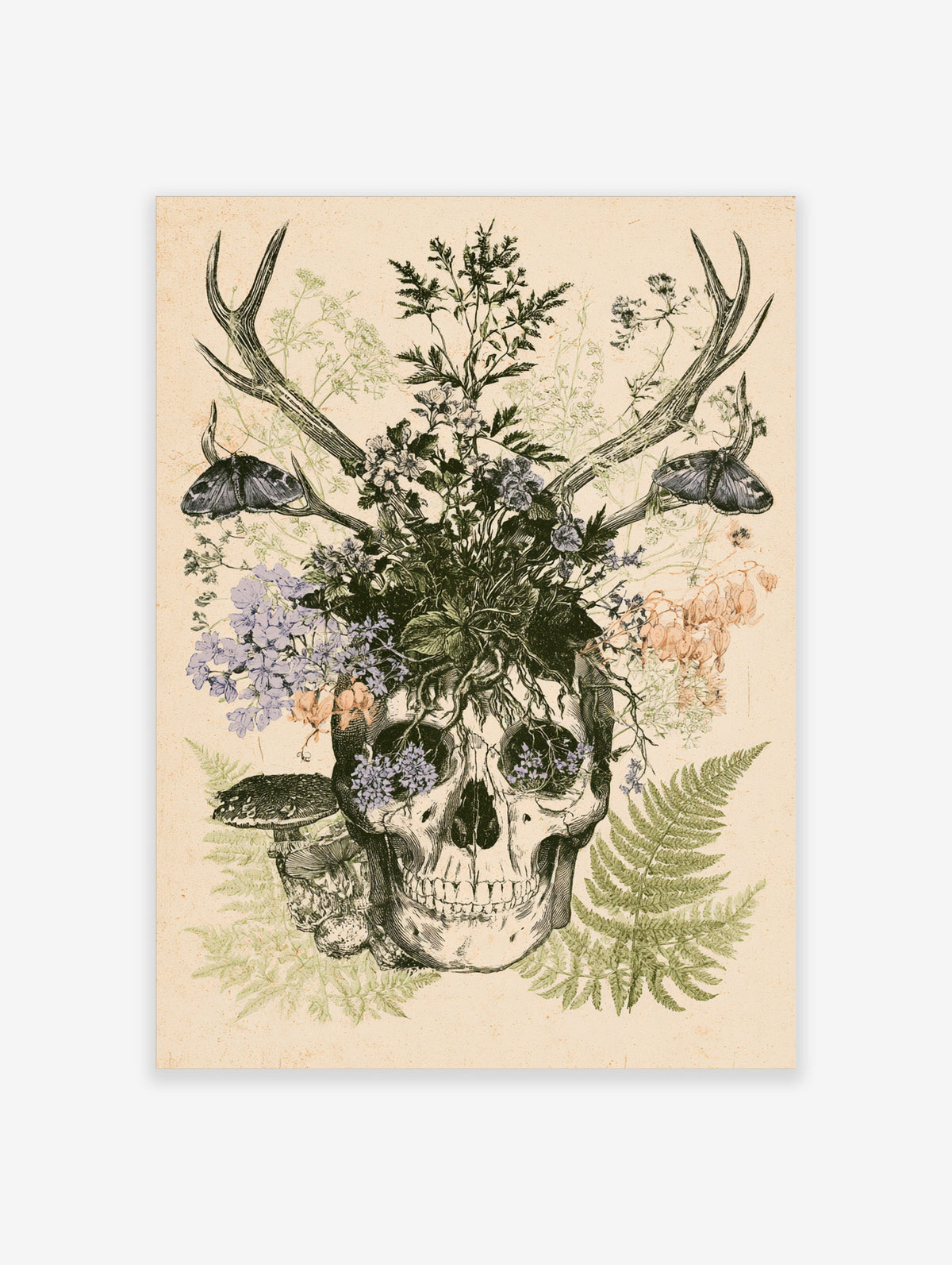 Skull with antlers, purple flowers, moths, and ferns on beige background art print