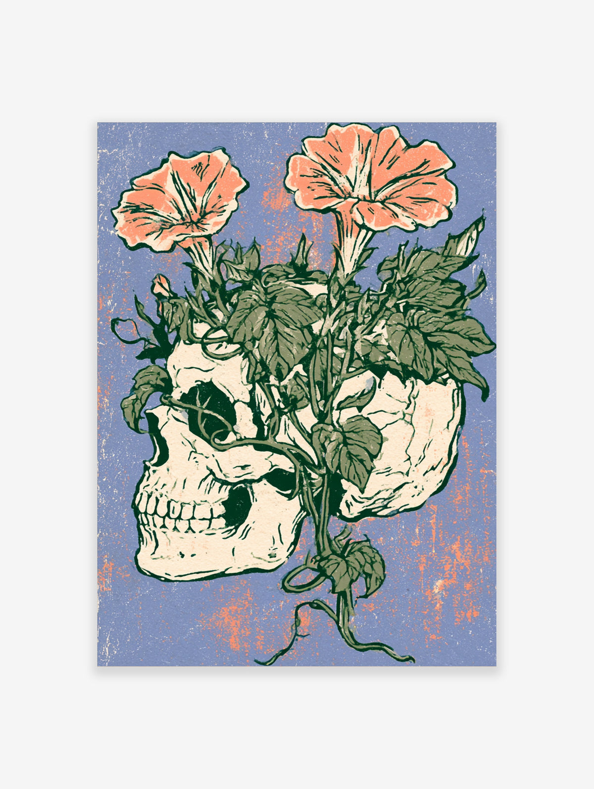 Skull and morning glory poster with peach flowers growing through a bone-white skull on a blue background