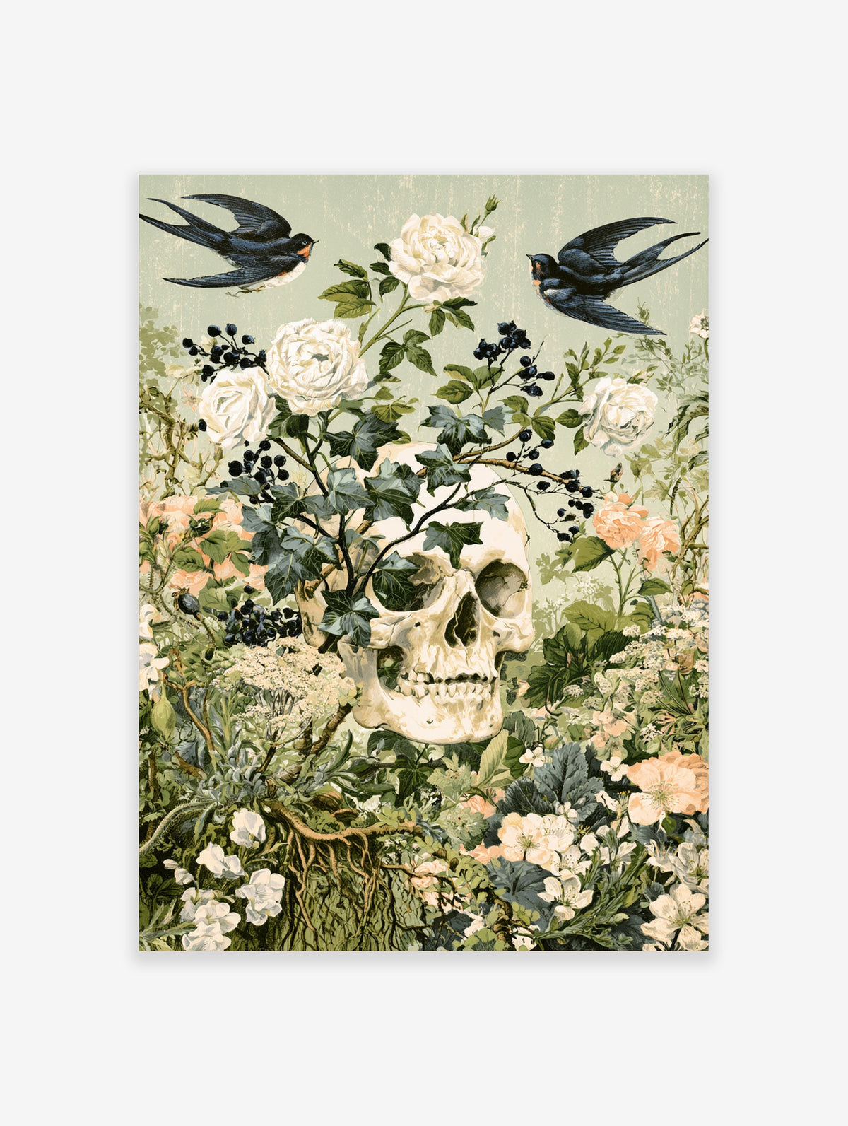Vintage skull with white roses, ivy, berries, and two swallows on a green background art print