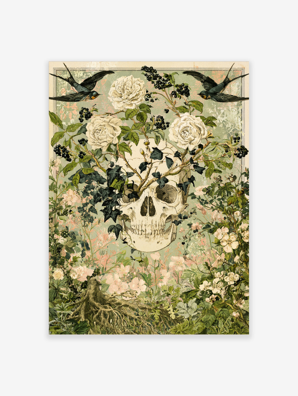 Vintage botanical poster of a skull with white roses, black berries, ivy, and two swallows on a green background