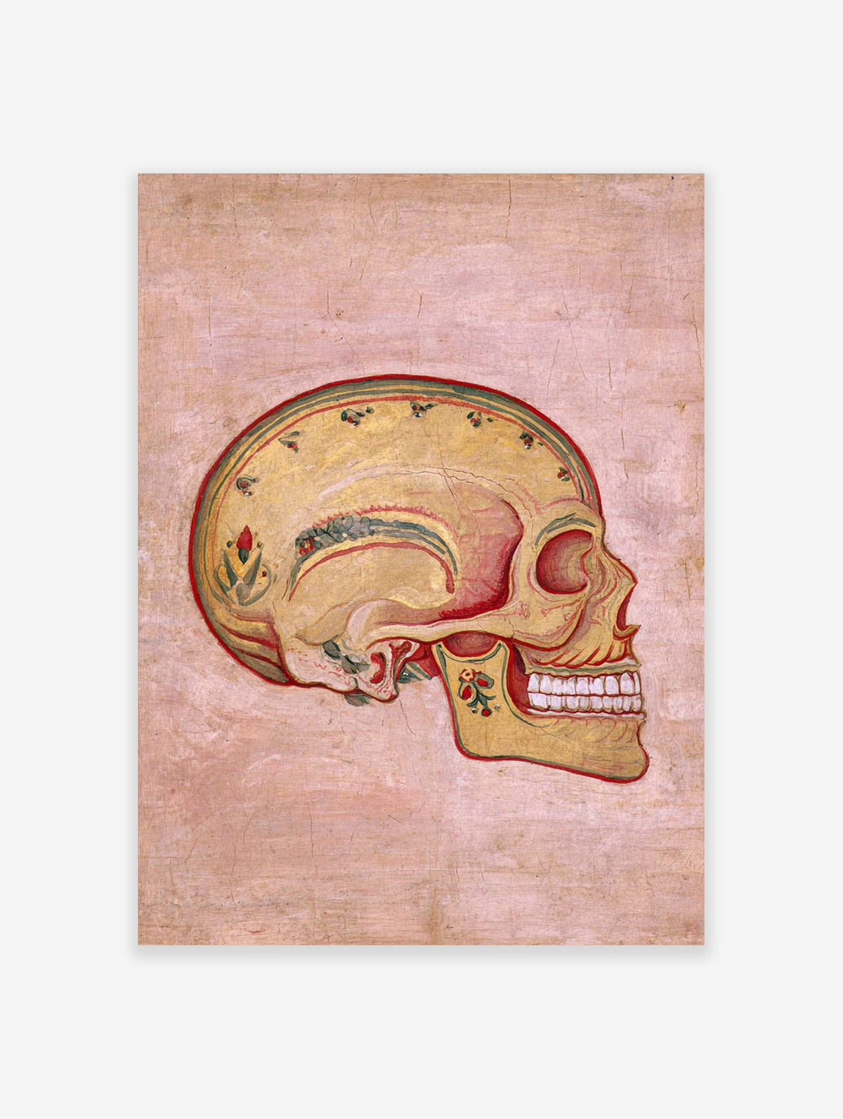 Vintage-style skull illustration with floral motifs on a pink background, side profile facing right