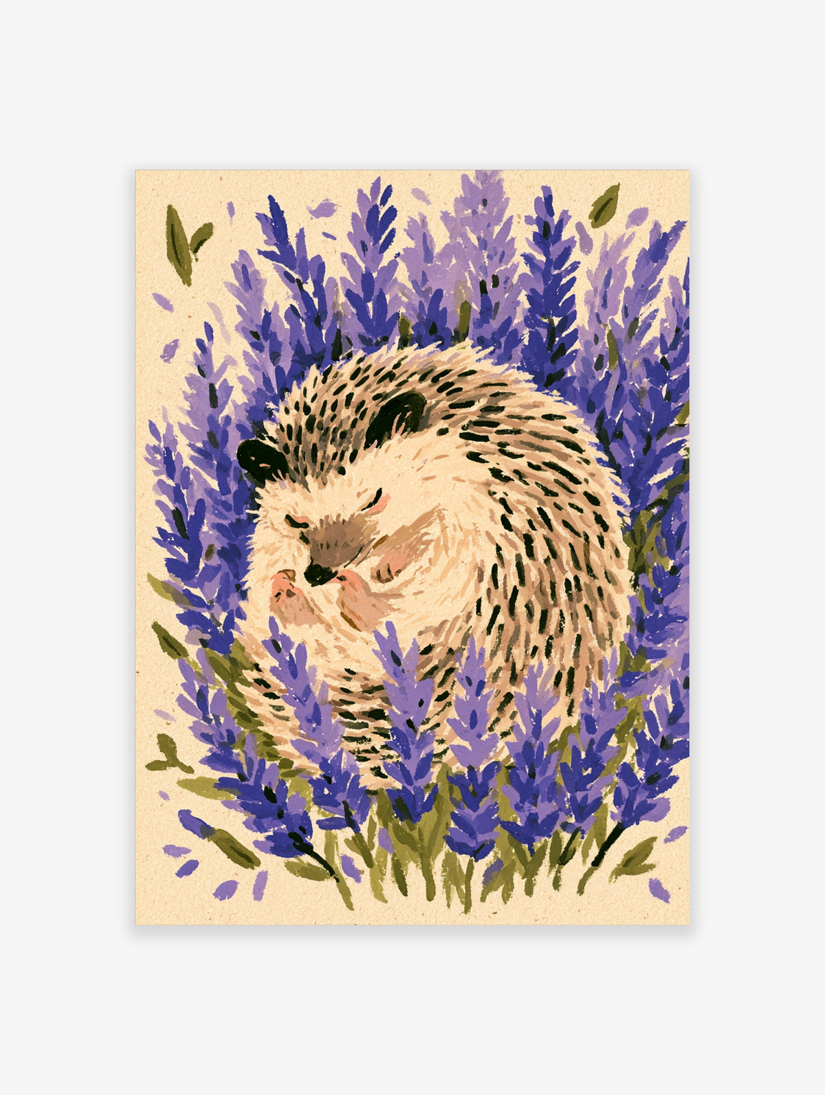 Sleeping hedgehog curled among purple lavender stems, painted illustration on beige background