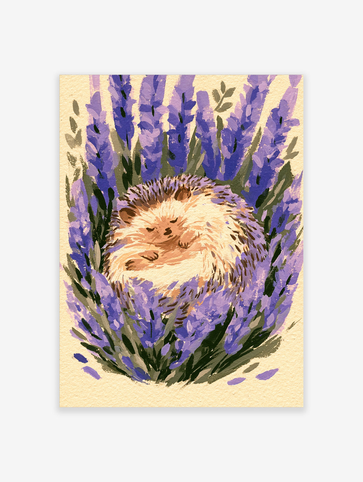 Sleeping hedgehog curled among purple lavender flowers in a painterly animal art print