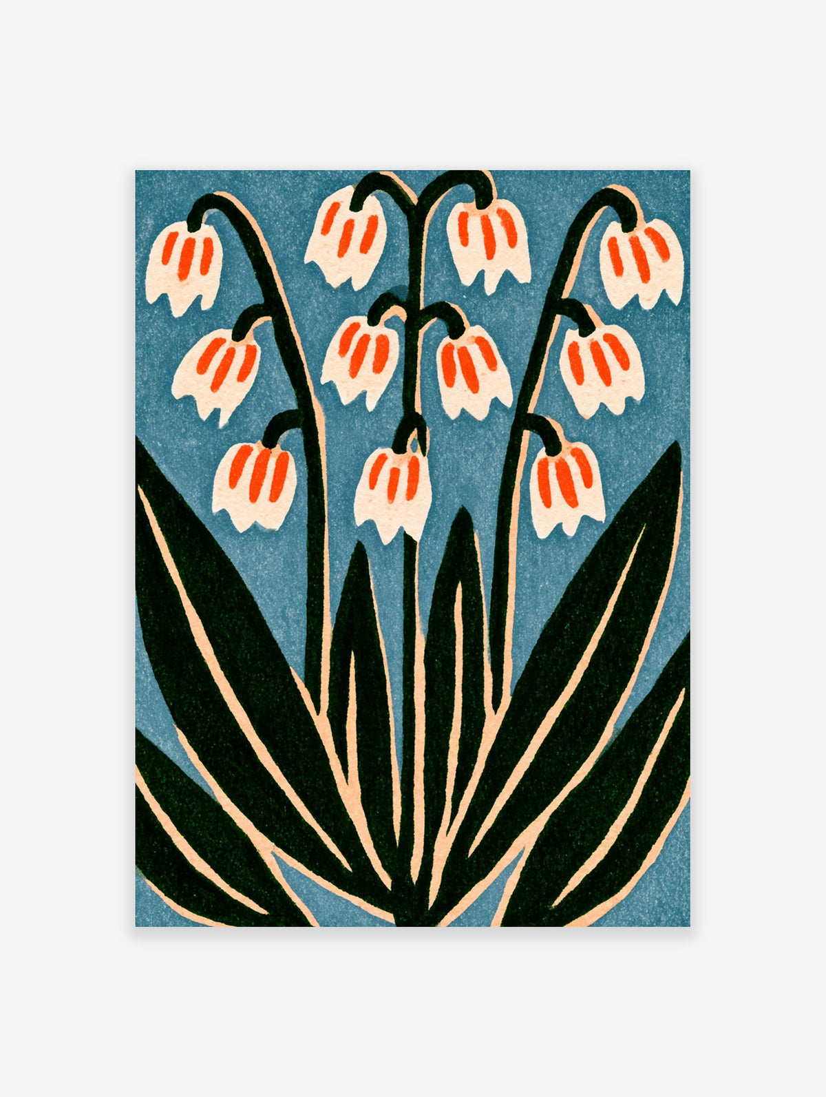 Botanical snowdrop flower illustration with white petals and orange details on a blue background, fine art paper print