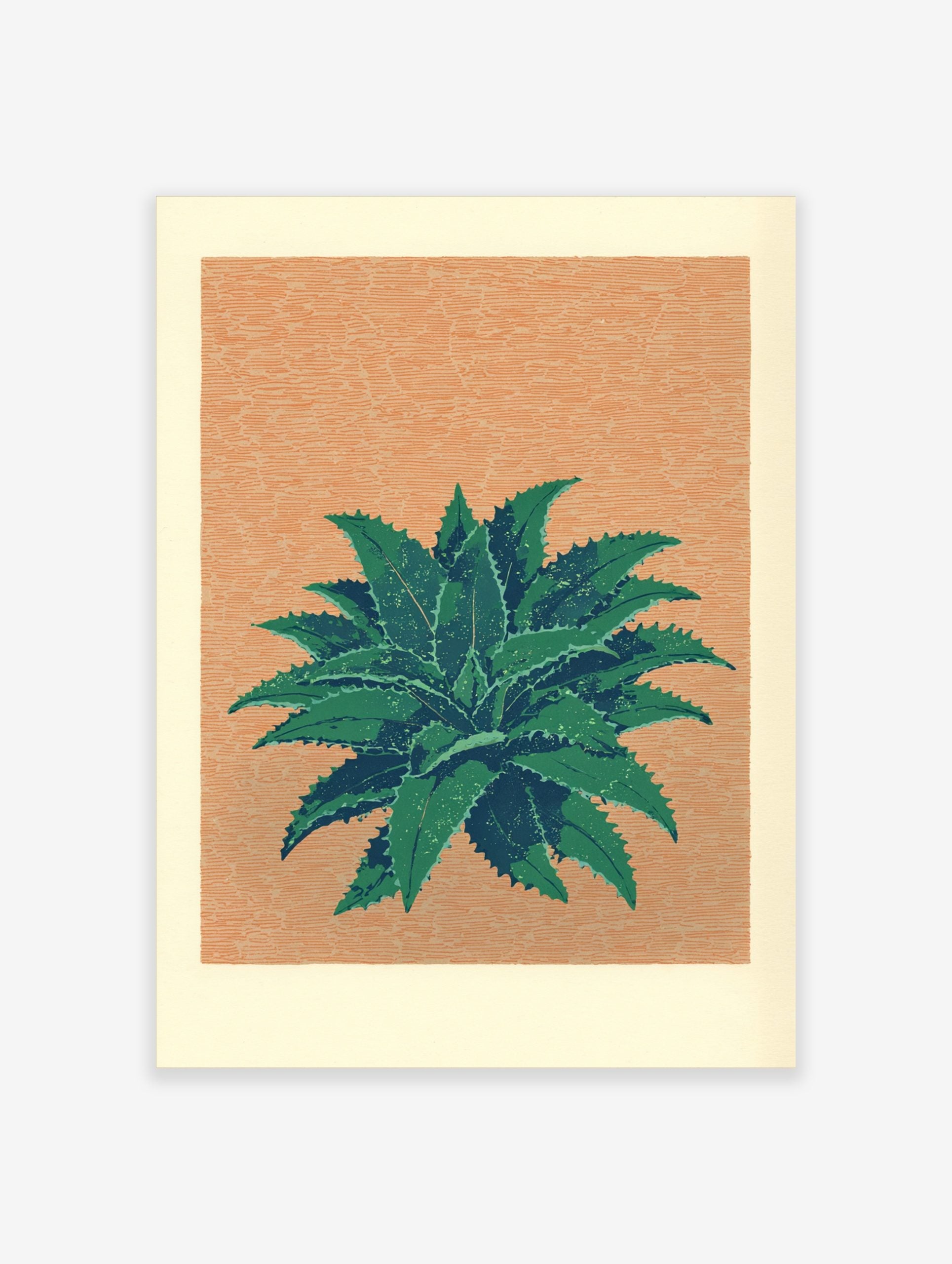 Illustrative green succulent plant with spiky leaves on a textured peach-orange background art print